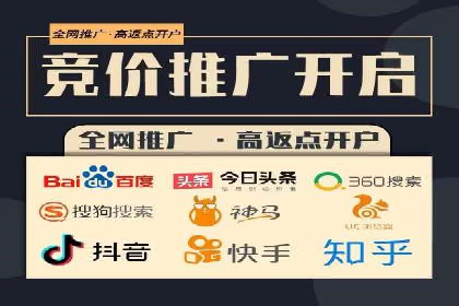 关键词竞价排名实战案例分析